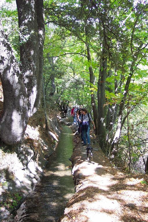 Alojamiento Rural Mirador Del Avellano Alpujarra De La Sierra Dış mekan fotoğraf