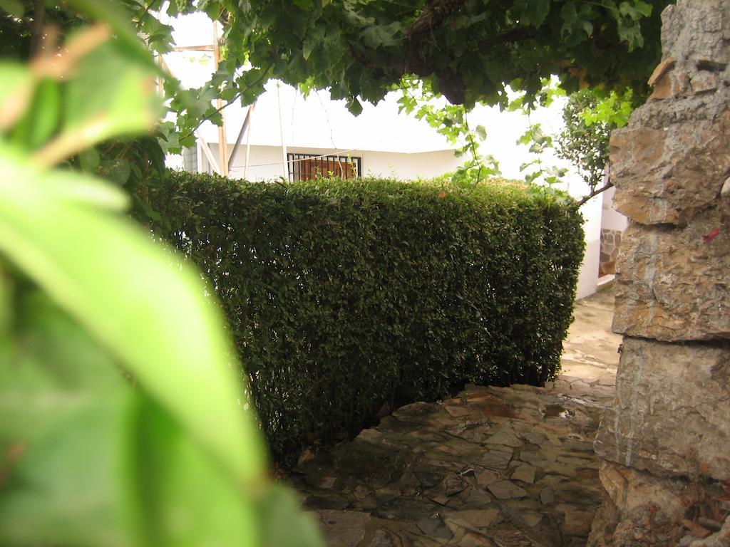 Alojamiento Rural Mirador Del Avellano Alpujarra De La Sierra Dış mekan fotoğraf